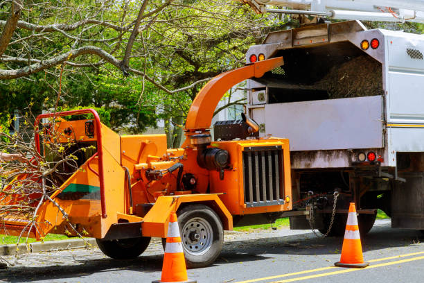 Best Tree Mulching Services  in Rangely, CO